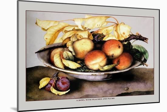 Bowl with Peaches and Plums-Giovanna Garzoni-Mounted Art Print