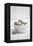 Bowl with Pebble Stone-Andrea Haase-Framed Premier Image Canvas