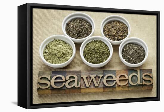 Bowls of Seaweed Diet Supplements (Bladderwrack, Sea Lettuce, Kelp Powder, Wakame and Irish Moss)-PixelsAway-Framed Premier Image Canvas