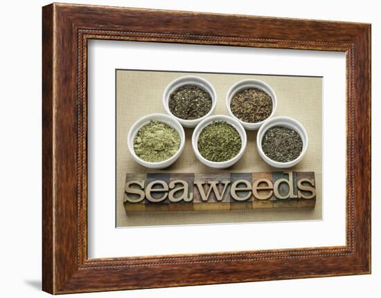 Bowls of Seaweed Diet Supplements (Bladderwrack, Sea Lettuce, Kelp Powder, Wakame and Irish Moss)-PixelsAway-Framed Photographic Print