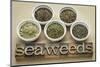 Bowls of Seaweed Diet Supplements (Bladderwrack, Sea Lettuce, Kelp Powder, Wakame and Irish Moss)-PixelsAway-Mounted Photographic Print