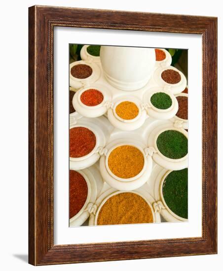 Bowls of Spices from Above, Agra, India-Bill Bachmann-Framed Photographic Print