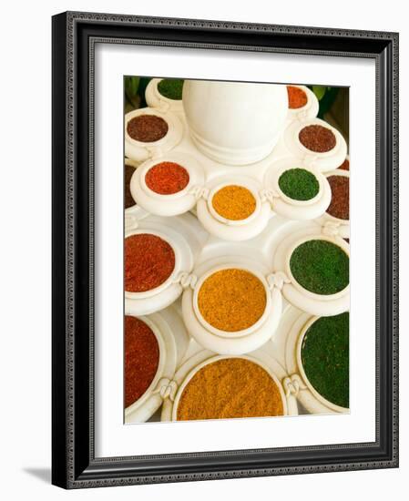 Bowls of Spices from Above, Agra, India-Bill Bachmann-Framed Photographic Print
