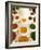 Bowls of Spices from Above, Agra, India-Bill Bachmann-Framed Photographic Print