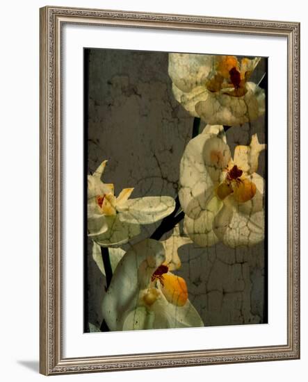 Bowman-Cristina Carra Caso-Framed Photographic Print