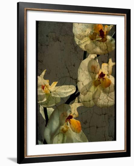 Bowman-Cristina Carra Caso-Framed Photographic Print