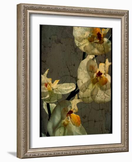 Bowman-Cristina Carra Caso-Framed Photographic Print