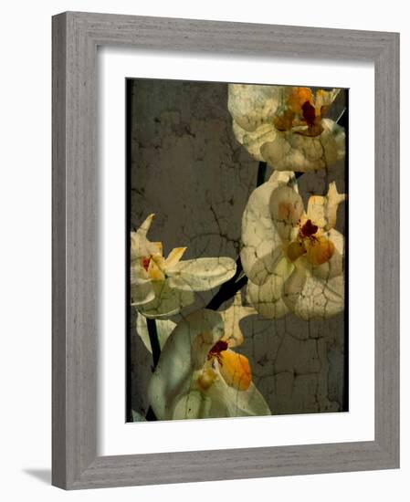 Bowman-Cristina Carra Caso-Framed Photographic Print