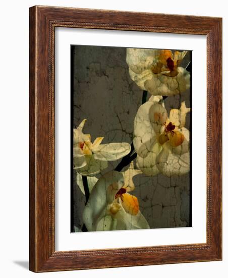 Bowman-Cristina Carra Caso-Framed Photographic Print