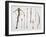 Bows and arrows from the 14th-15th century, 1842-Friedrich Martin von Reibisch-Framed Giclee Print