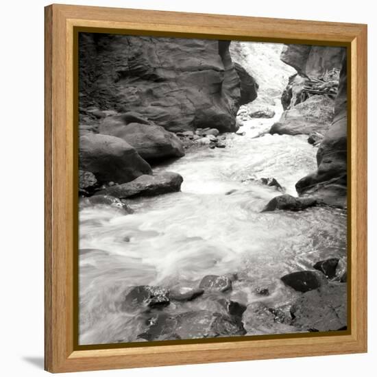 Box Canyon III-Dana Styber-Framed Premier Image Canvas