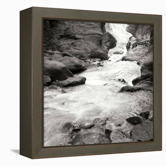 Box Canyon III-Dana Styber-Framed Premier Image Canvas