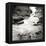 Box Canyon III-Dana Styber-Framed Premier Image Canvas