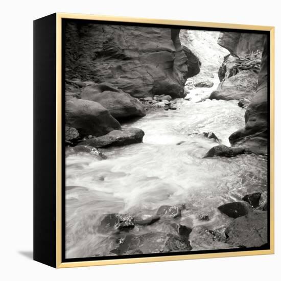 Box Canyon III-Dana Styber-Framed Premier Image Canvas