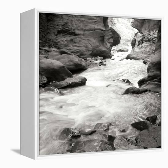 Box Canyon III-Dana Styber-Framed Premier Image Canvas