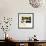 Box Canyon-Chris Paschke-Framed Premium Giclee Print displayed on a wall