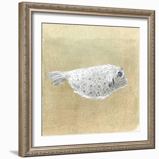 Box Fish, Sri Lanka, 2015-Lincoln Seligman-Framed Giclee Print