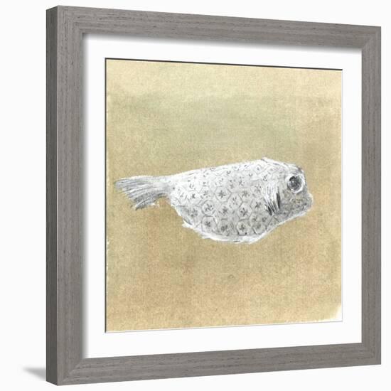 Box Fish, Sri Lanka, 2015-Lincoln Seligman-Framed Giclee Print