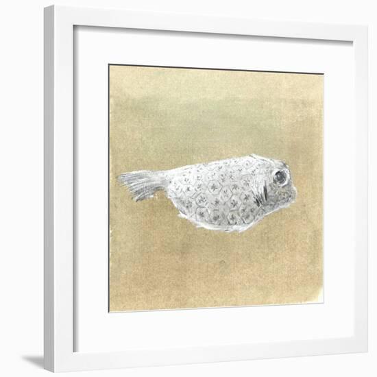 Box Fish, Sri Lanka, 2015-Lincoln Seligman-Framed Giclee Print