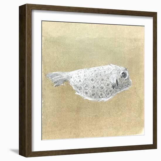 Box Fish, Sri Lanka, 2015-Lincoln Seligman-Framed Giclee Print