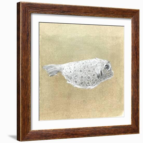 Box Fish, Sri Lanka, 2015-Lincoln Seligman-Framed Giclee Print