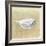 Box Fish, Sri Lanka, 2015-Lincoln Seligman-Framed Giclee Print