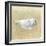 Box Fish, Sri Lanka, 2015-Lincoln Seligman-Framed Giclee Print