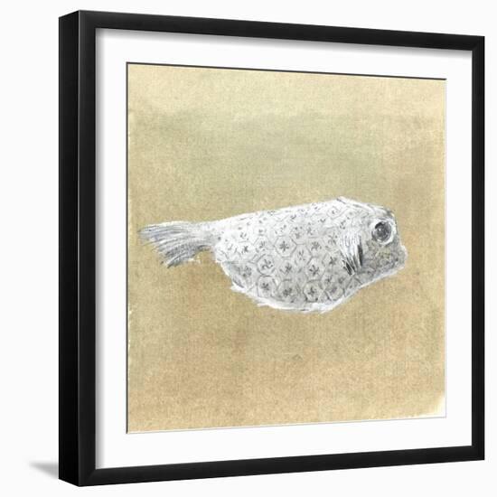 Box Fish, Sri Lanka, 2015-Lincoln Seligman-Framed Giclee Print