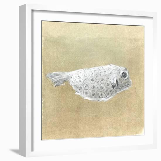 Box Fish, Sri Lanka, 2015-Lincoln Seligman-Framed Giclee Print