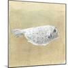 Box Fish, Sri Lanka, 2015-Lincoln Seligman-Mounted Giclee Print