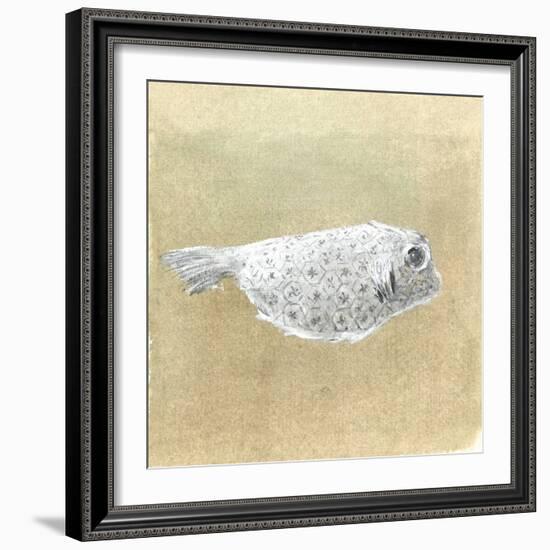 Box Fish, Sri Lanka, 2015-Lincoln Seligman-Framed Giclee Print