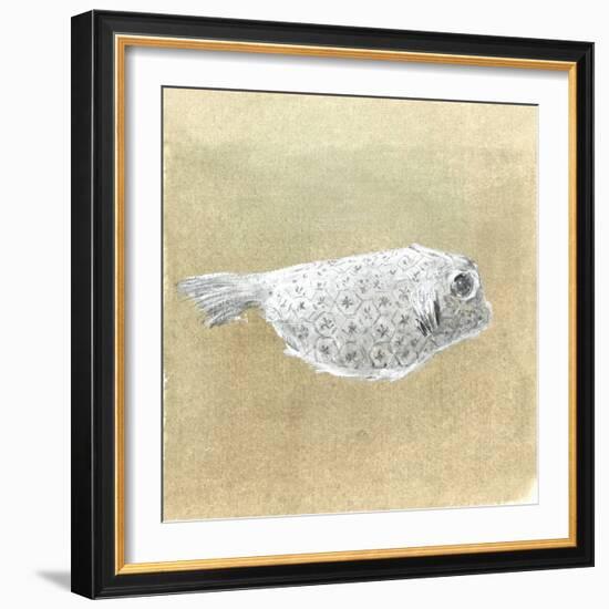 Box Fish, Sri Lanka, 2015-Lincoln Seligman-Framed Giclee Print