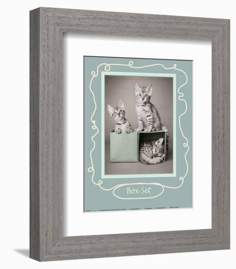 Box Set-Rachael Hale-Framed Art Print