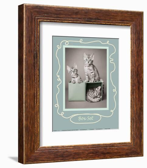 Box Set-Rachael Hale-Framed Art Print