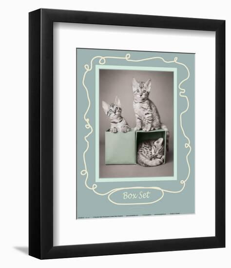 Box Set-Rachael Hale-Framed Art Print