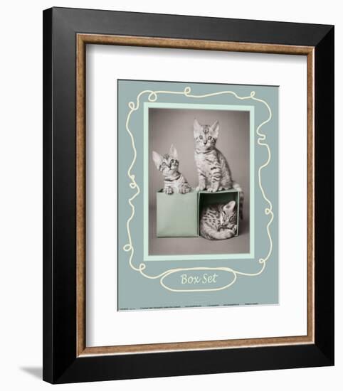 Box Set-Rachael Hale-Framed Art Print