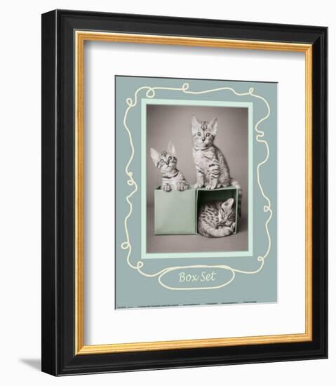 Box Set-Rachael Hale-Framed Art Print