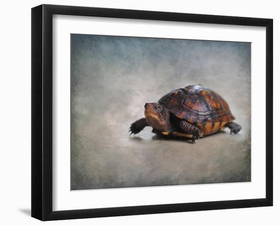 Box Turtle Portrait-Jai Johnson-Framed Giclee Print