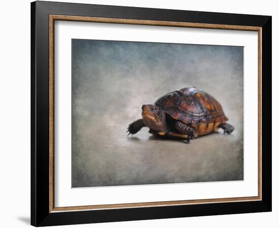 Box Turtle Portrait-Jai Johnson-Framed Giclee Print