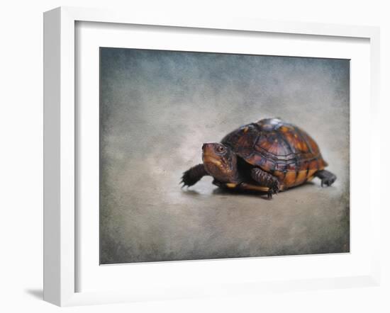 Box Turtle Portrait-Jai Johnson-Framed Giclee Print