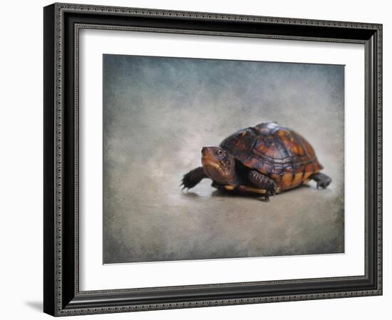 Box Turtle Portrait-Jai Johnson-Framed Giclee Print