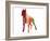 Boxer 2-NaxArt-Framed Art Print