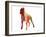 Boxer 2-NaxArt-Framed Art Print