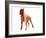 Boxer 2-NaxArt-Framed Art Print