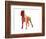 Boxer 2-NaxArt-Framed Art Print