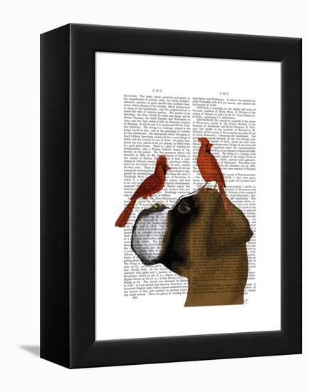 Boxer and Red Cardinals-Fab Funky-Framed Stretched Canvas