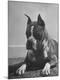 Photographic Print