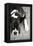 Boxer Black and White-Karyn Millet-Framed Premier Image Canvas