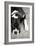 Boxer Black and White-Karyn Millet-Framed Photographic Print