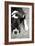 Boxer Black and White-Karyn Millet-Framed Photographic Print